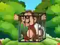 Free the Captive Ape