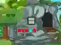 Find the Turtle Shell