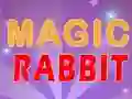Magic Rabbit