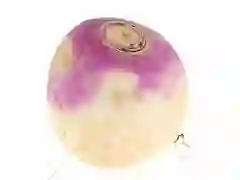 Turnip