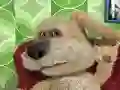 Talking Ben the Dog