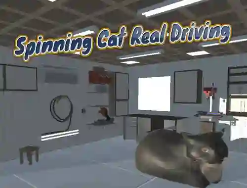 Spinning Cat Real Driving