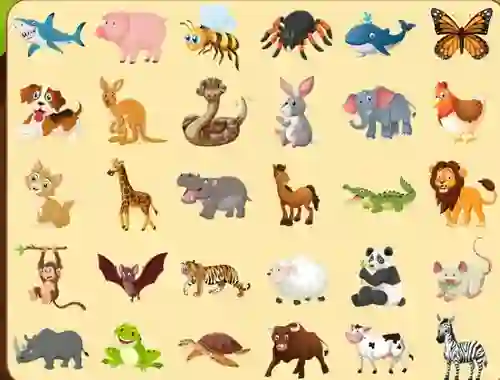 Discover Animals
