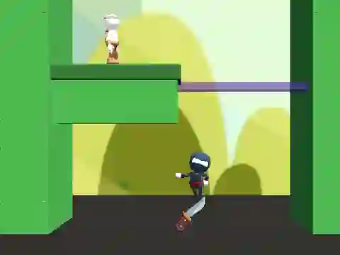 Slow Time Ninja