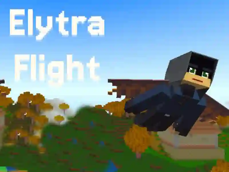 Elytra Flight