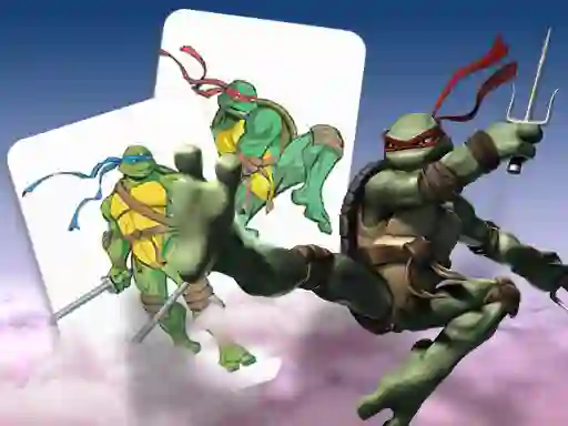 Ninja Turtles Memory card Match