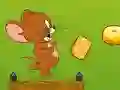 Jerry Run N Eat Cheese