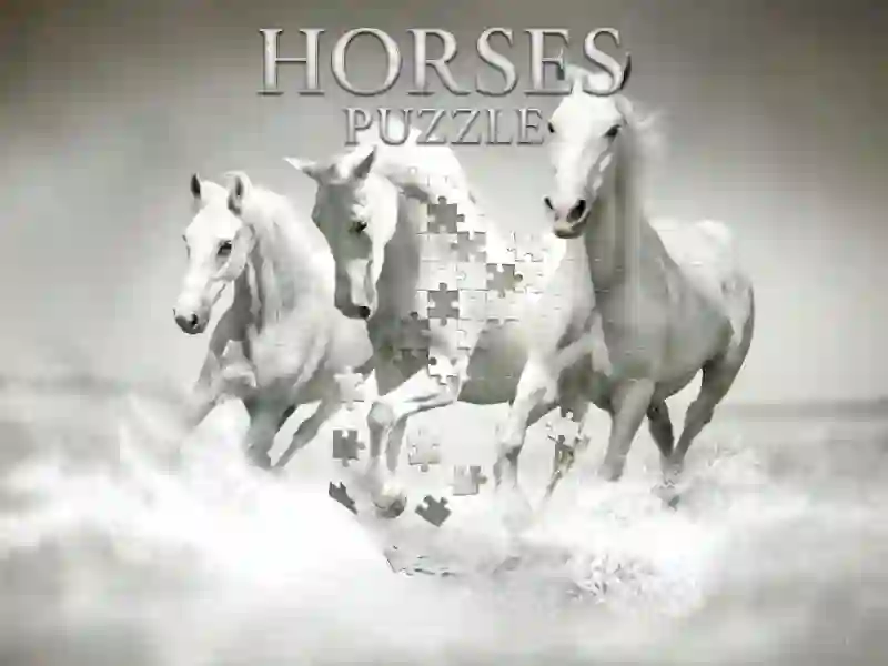 Horses Puzzle