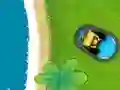 Raccoon crash