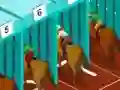 Derby racing