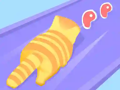 Cat Evolution