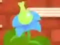 Cute Flower Studio