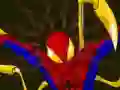 Spiderman Customization