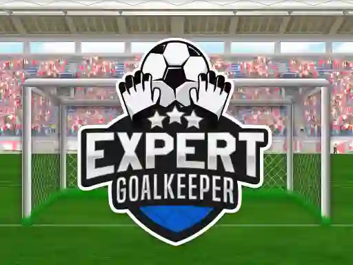 Expert Goalkeeper
