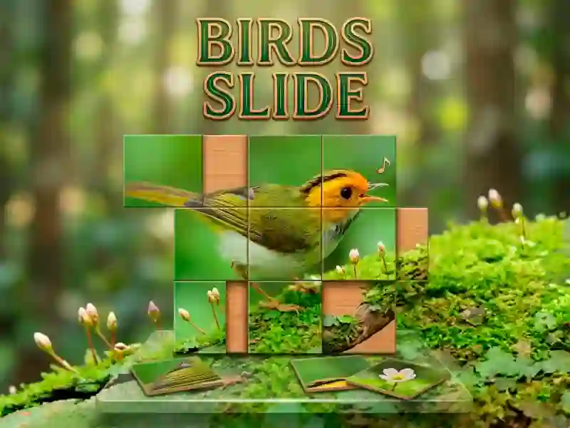 Birds Slide
