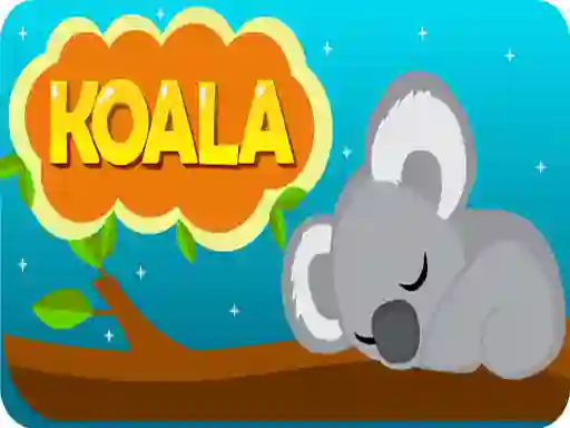Koala