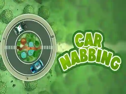 Car Nabbing