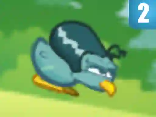 Kiwi Adventure 2
