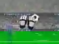 Goalkeeper Premier