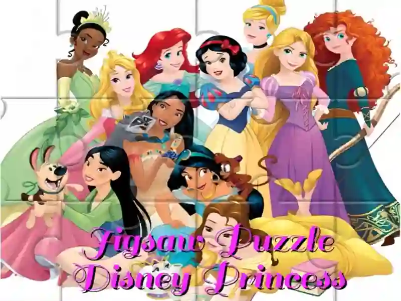 Jigsaw Puzzle: Disney Princess