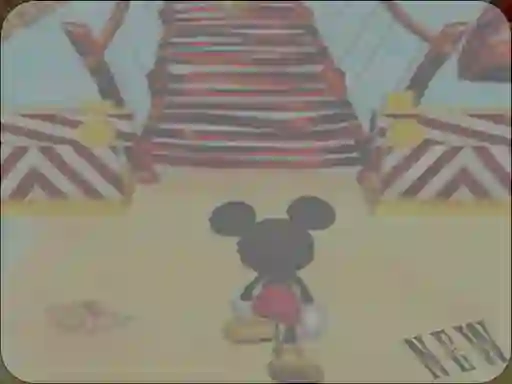 Jumpy Kangaro