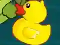 Crocodile love duck