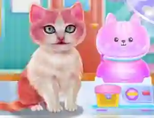 Kitty Dental Caring