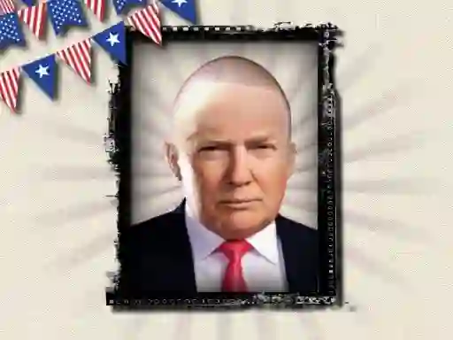 The President of the USA