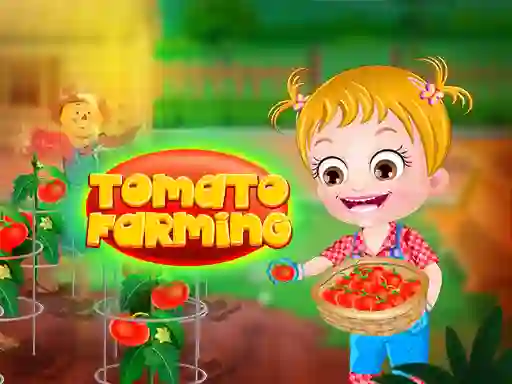 Baby Hazel. Tomato farming