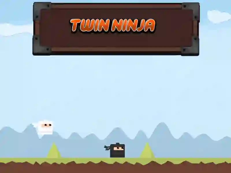 Twin Ninja