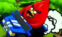 Poultry ACE Downhill