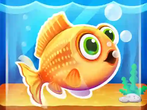 Fish tank my aquarium