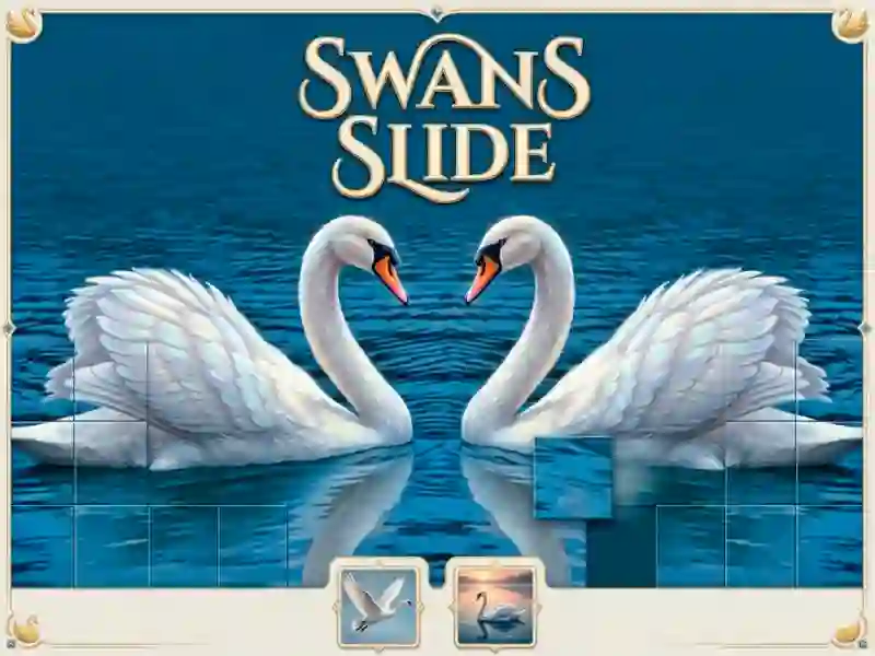 Swans Slide