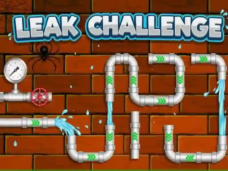 Leak Challenge