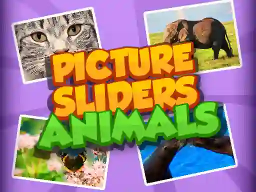 Picture Slider Animals