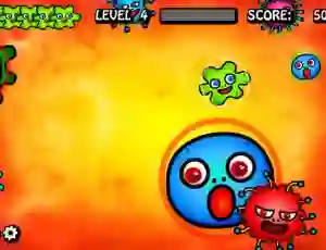 Amoeba's Life