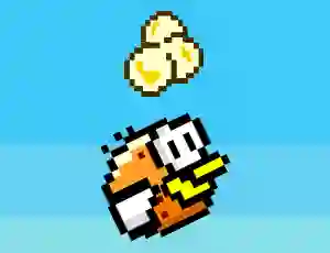 Pac bird