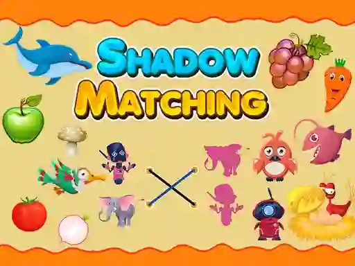 Shadow Matching