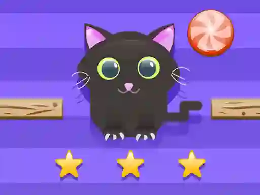 Cat Challenge