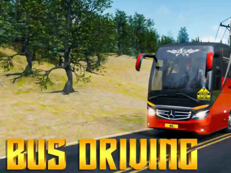 Bus Driving