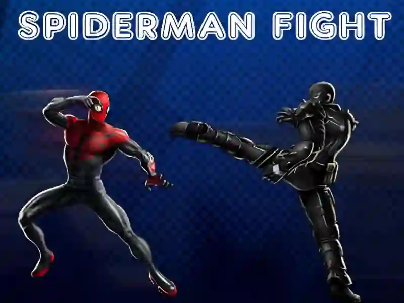 Spiderman Fight