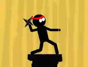 The Last Ninja