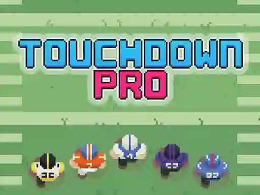 Touchdown Pro