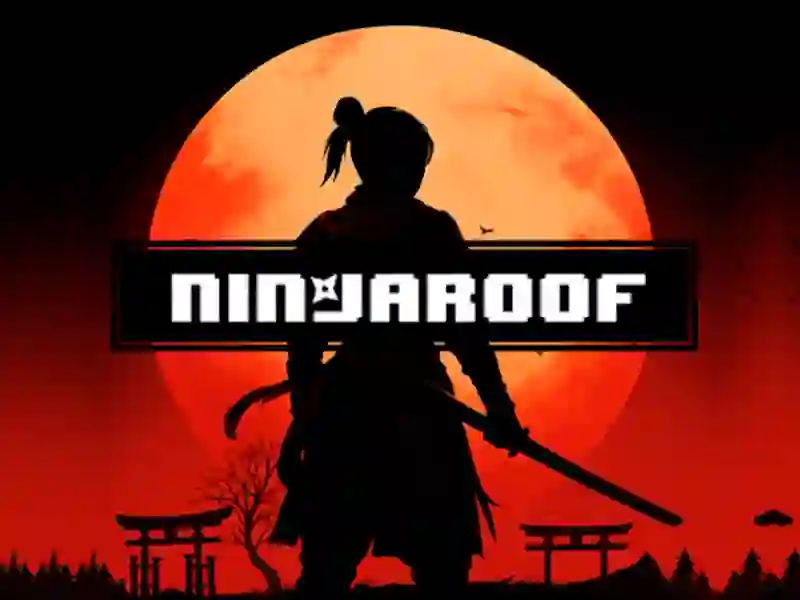 Ninja Roof