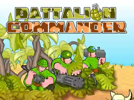 Battalion commander