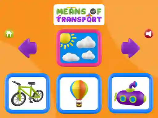 Means Of Transport