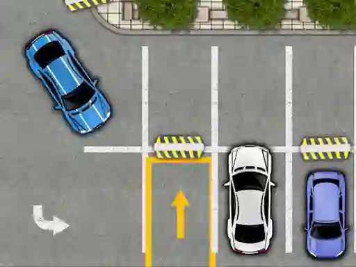 Car Parking