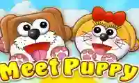 Meet Puppy