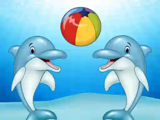Dolphin Show