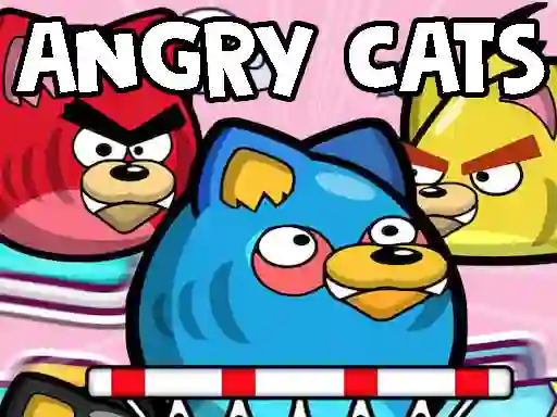 Angry Cats